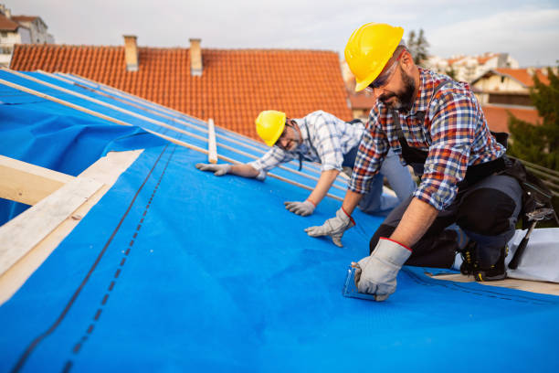 Best Gutter Installation and Roofing  in Woodlands, CA